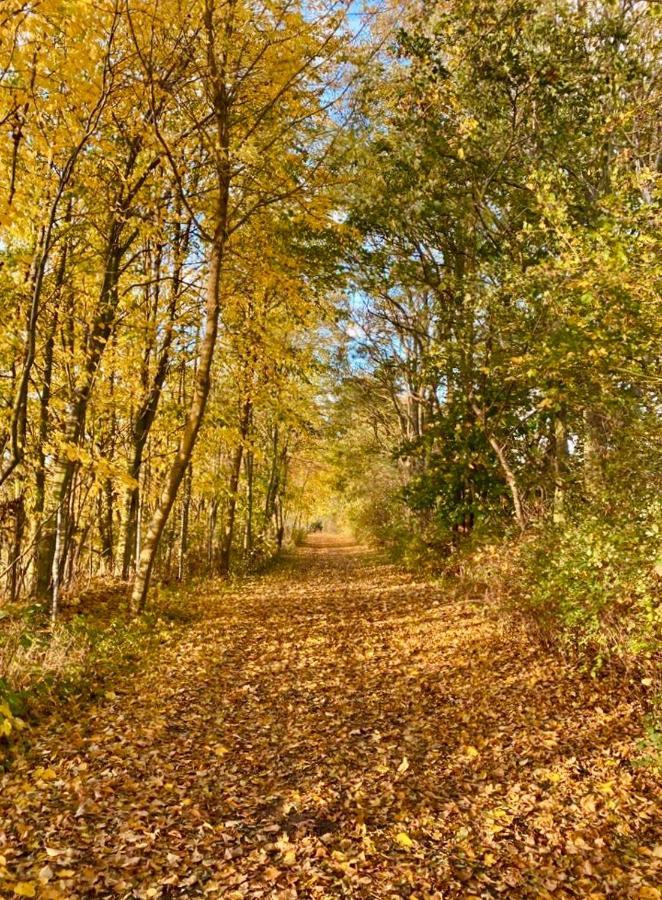 Tallskog - Dein Apartment Am Naturstrand Hohen Wieschendorf Hohenkirchen  Esterno foto